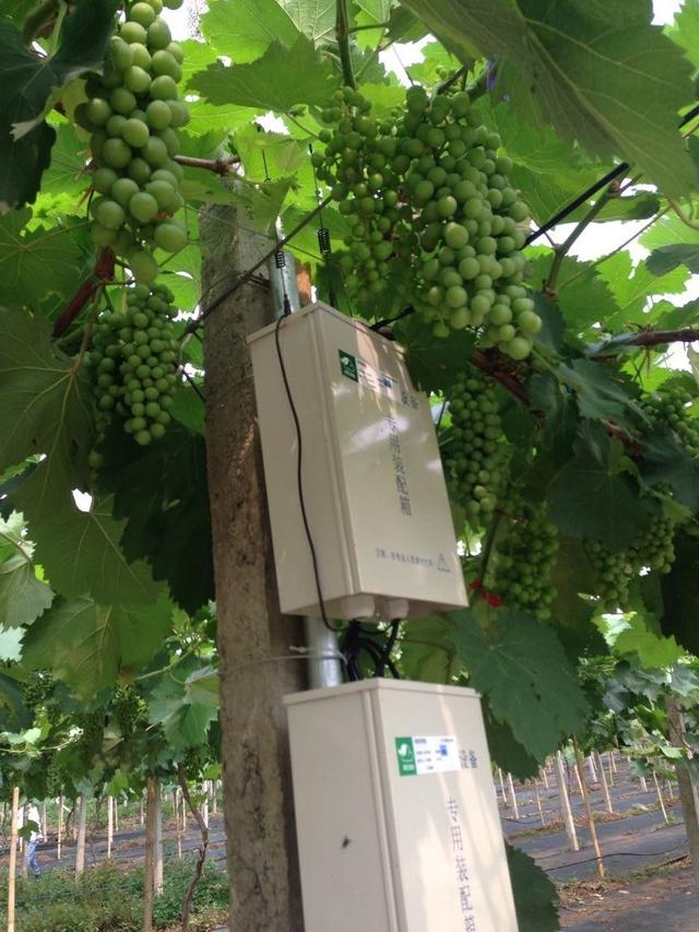 �ďU���ķ�֮�������ш@����Ҳ�ܞ���I(y��)���^����(y��ng)��(y��u)�|(zh��)���(y��ng)��õ��