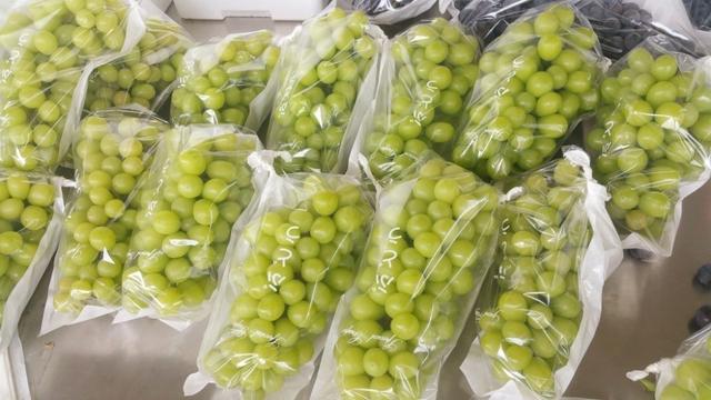 �ďU���ķ�֮�������ш@����Ҳ�ܞ���I(y��)���^����(y��ng)��(y��u)�|(zh��)���(y��ng)��õ��