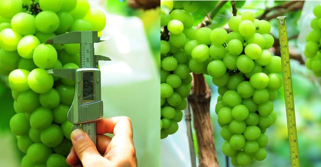 �ďU���ķ�֮�������ш@����Ҳ�ܞ���I(y��)���^����(y��ng)��(y��u)�|(zh��)���(y��ng)��õ��