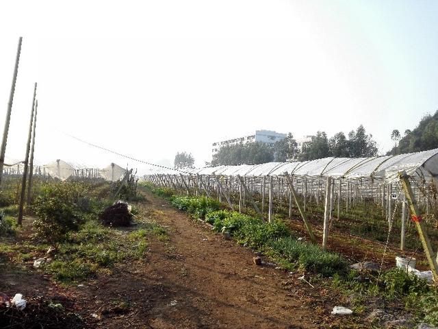 �ďU���ķ�֮�������ш@����Ҳ�ܞ���I(y��)���^����(y��ng)��(y��u)�|(zh��)���(y��ng)��õ��