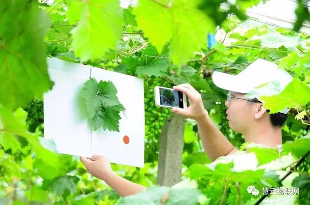 ���C���������Y���r(n��ng)���T�����ѹܼҞ��九(ji��)�s�����M��15�f