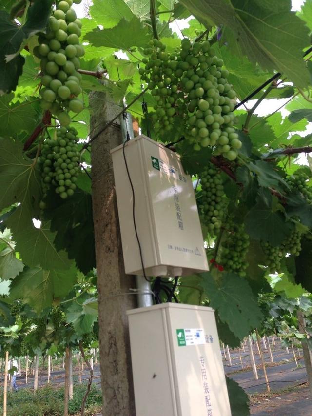 ���C���������Y���r(n��ng)���T�����ѹܼҞ��九(ji��)�s�����M��15�f