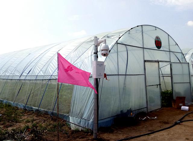 �Ї����W(w��ng)�y���읙�������_���R����N�����ܷNֲ