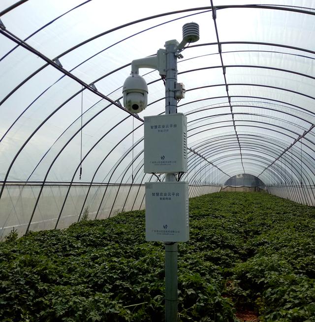 �Ї����W(w��ng)�y���읙�������_���R����N�����ܷNֲ