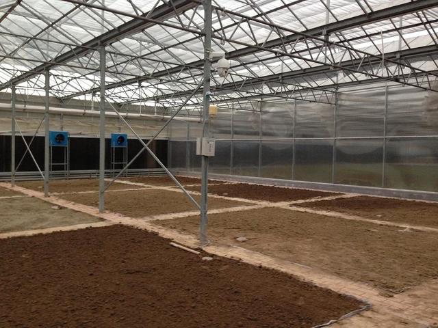 ��ע�ڿ��е��A�����Ƽ���Ҳ���������ܱO(ji��n)�؎����ľ���(zh��n)�c��Ч