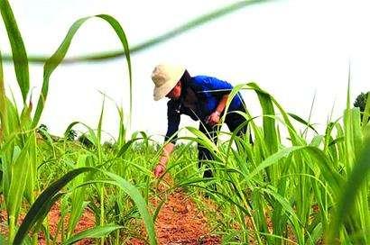 ��ע�ڿ��е��A�����Ƽ���Ҳ���������ܱO(ji��n)�؎����ľ���(zh��n)�c��Ч