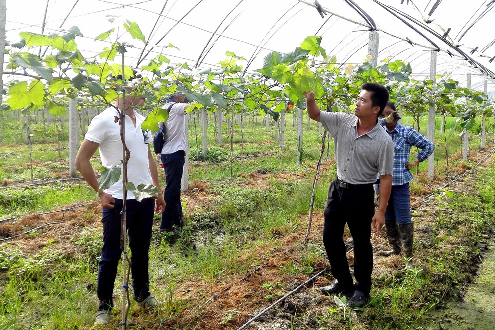 �V���|�m�hɽ�^(q��)�_���������ܻ��a(ch��n)�I(y��)��ؚ���a(ch��n)ʾ��