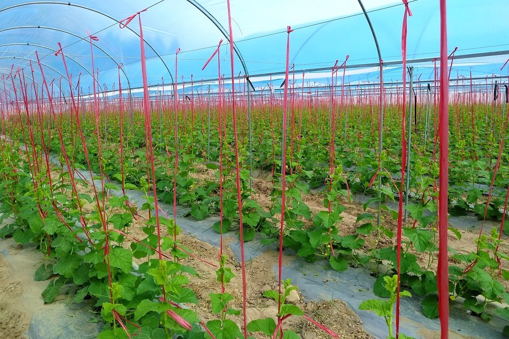 �ǻ��r(n��ng)�I(y��)���ֺ������ǹ��Ƽ���ͨ�a(ch��n)�c�N