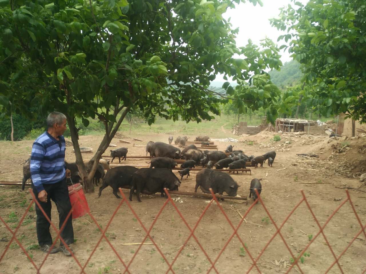 �ǻ��r(n��ng)�I(y��)�����������������F(xi��n)����(zh��n)Óؚ