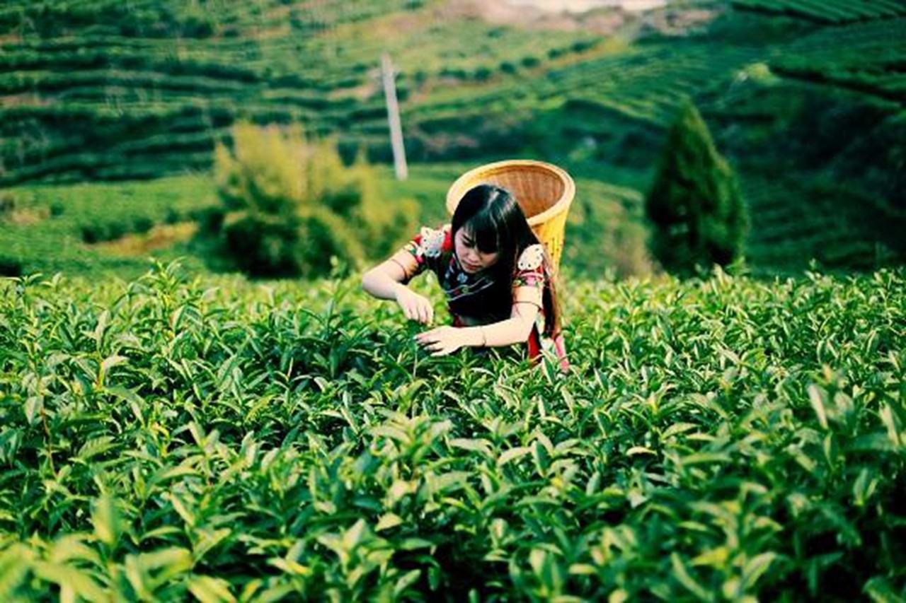 �ǻ��r(n��ng)�I(y��)�����������������F(xi��n)����(zh��n)Óؚ