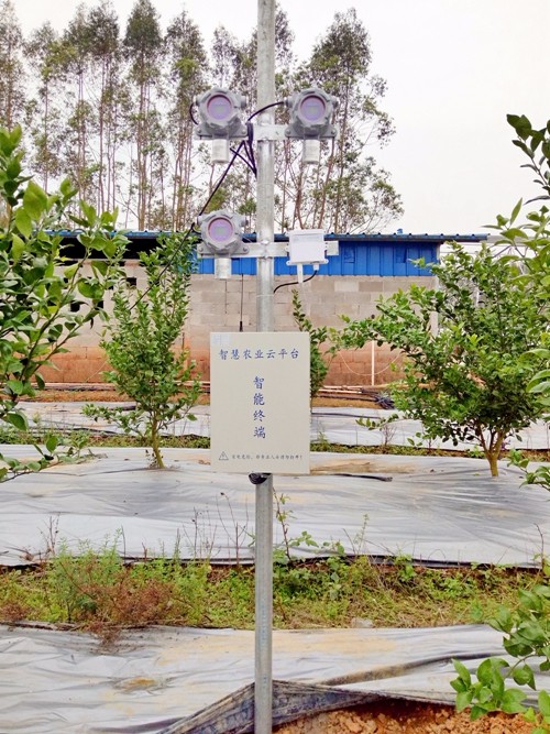 �Gˮ��ɽ���ǽ�ɽ�yɽ�����ǻ��r(n��ng)�I(y��)�������r(n��ng)�I(y��)��(li��n)�W(w��ng)���������B(t��i)�r(n��ng)�I(y��)�����o(h��)�W(w��ng)