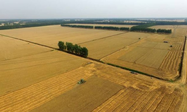 ���vʷ�ӛ�Ŀ��y���S���^(q��)����������ǻ��r(n��ng)�I(y��)�Ŀ�܇���ɞ�һ������