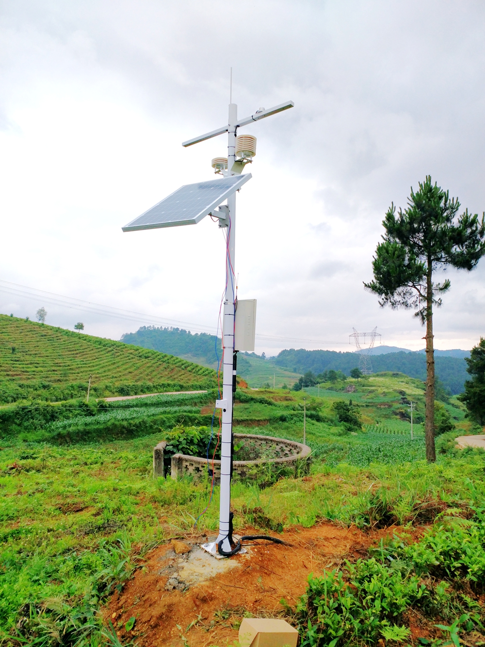 �F�݄�(chu��ng)�� �Y�����~����