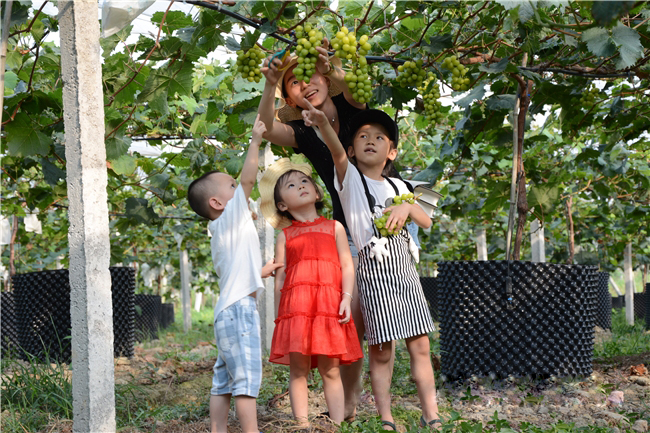 �읙�������ѹܼҷ�ؚʾ�����ء����|�m�hɽ�^(q��)ꖹ�õ�����ш@��һ���������ժ��