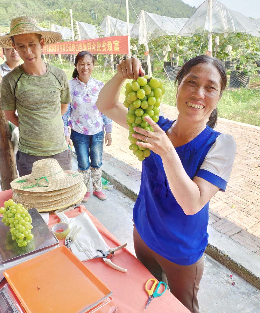 �읙�������ѹܼҷ�ؚʾ�����ء����|�m�hɽ�^(q��)ꖹ�õ�����ш@��һ���������ժ��