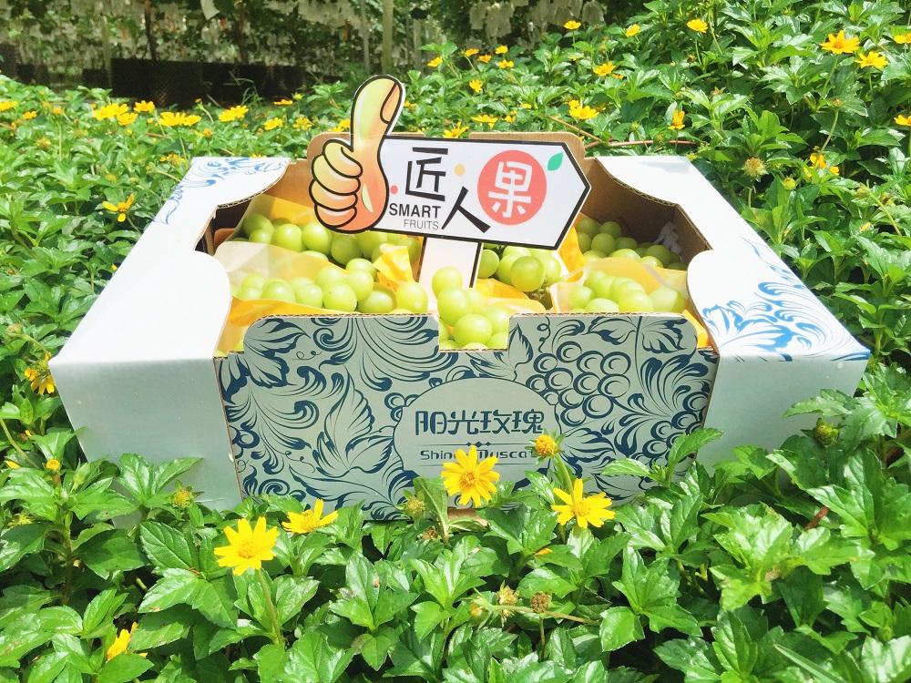 �읙�������a(ch��n)��(sh��)�(y��n)���؏ķN���N����Ʒ�|(zh��)ꖹ�õ���ϼ�����̳�