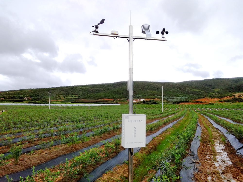 ������(chu��ng)���(xi��ng)Ŀ-�C�ɻ���