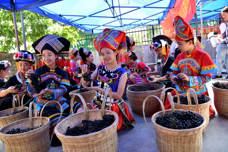 �V�����������r(n��ng)�a(ch��n)Ʒ��Դ���_�N��ͨ·��Ұ��ɽ�����߳���ɽ