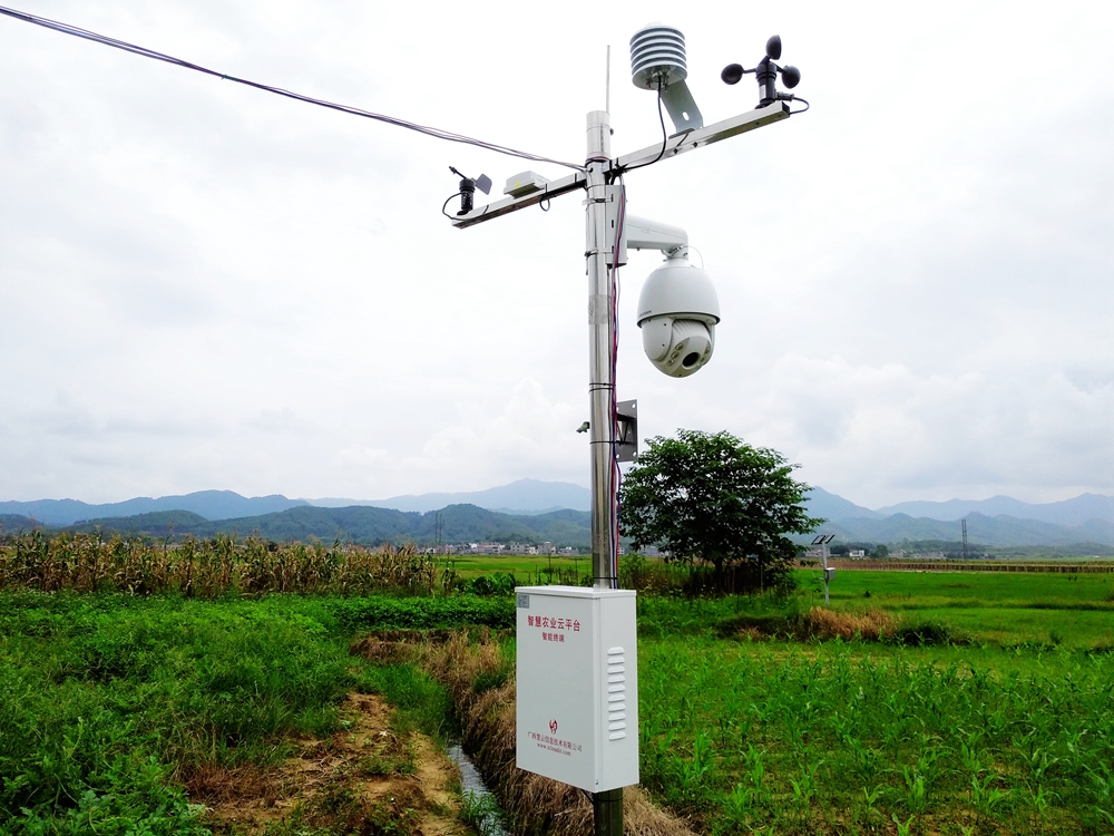 �R�����S�r(n��ng)�I(y��)