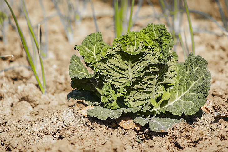 ������l(xi��ng)�R�݇�(y��n)�����a(ch��n)�������_(k��i)չ��(bi��o)��(zh��n)���Nֲ