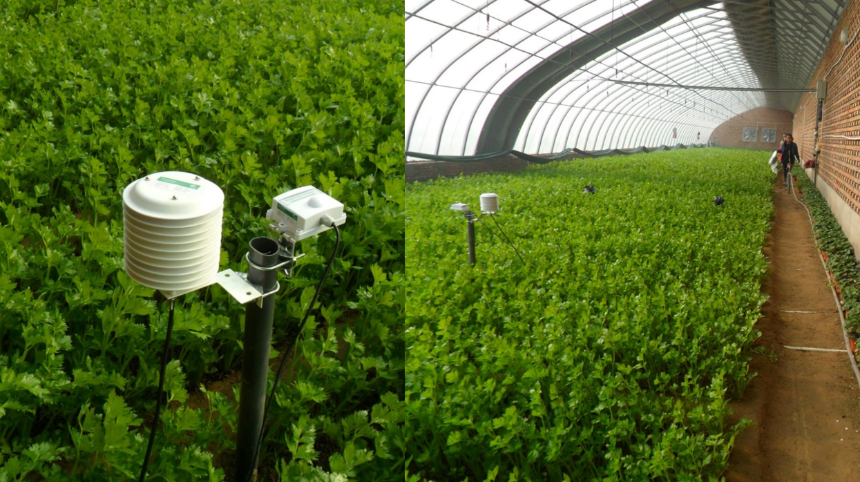 ʲô���ǻ��r(n��ng)�I(y��)�������읙(r��n)�����ķ���(w��)���سɹ�ʾ��