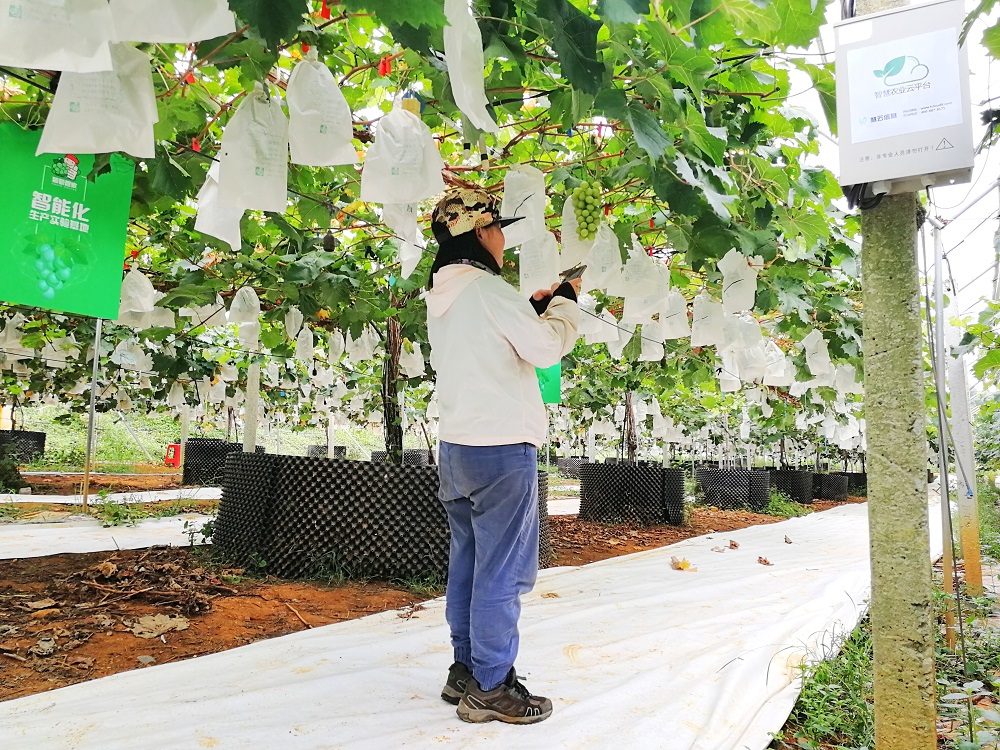 ʲô���ǻ��r(n��ng)�I(y��)�������읙(r��n)�����ķ���(w��)���سɹ�ʾ��