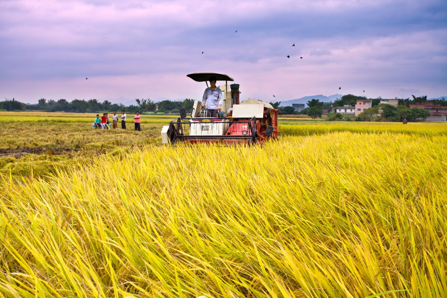 ʲô���ǻ��r(n��ng)�I(y��)�������읙(r��n)�����ķ���(w��)���سɹ�ʾ��