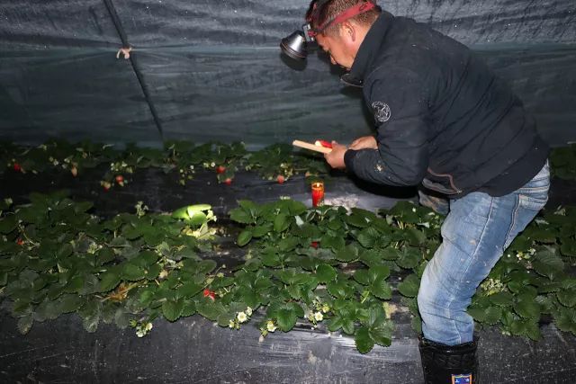 ����ʹ��ݮ���ֵ�c��(sh��)������ı������ǈ�(ji��n)�����ƵĘ�(bi��o)��(zh��n)������