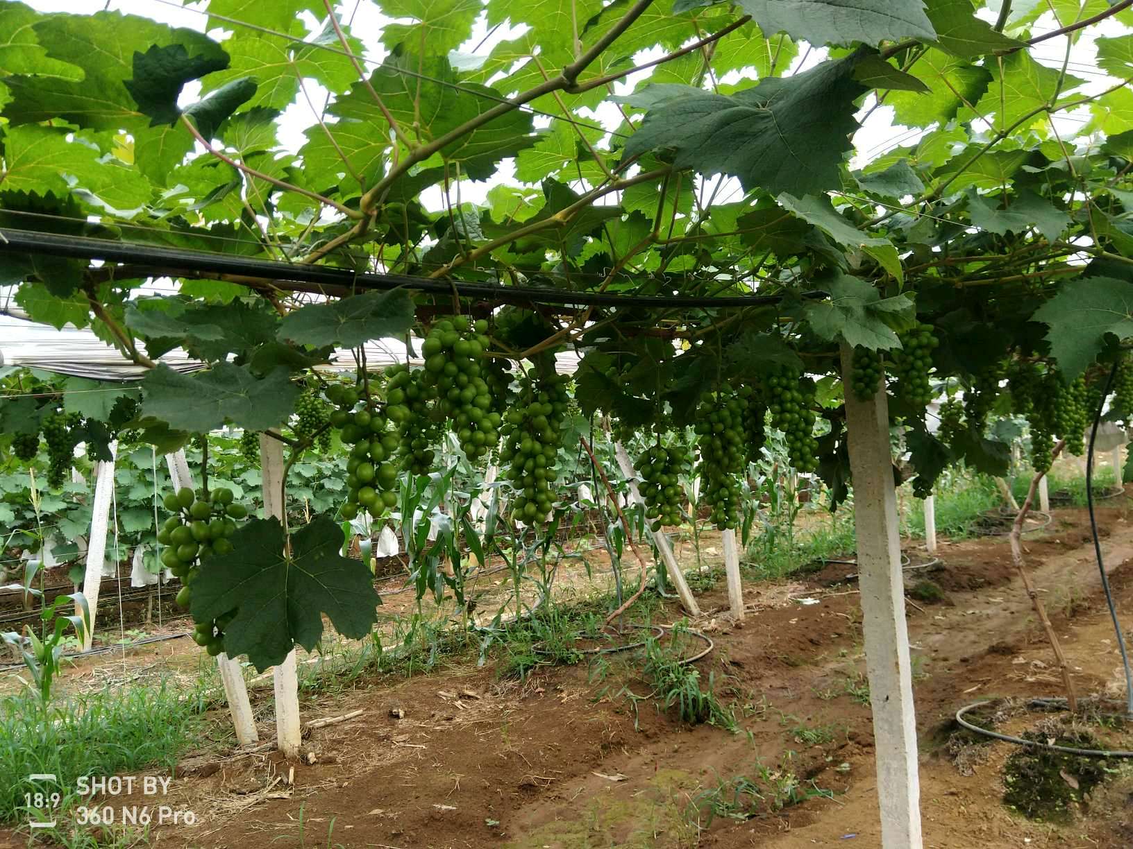 ���ݰ����(zh��n)���ш@�Ķ�λѲ�@���r(n��ng)��ӛ�