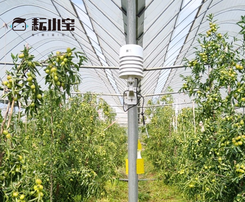 �읙�������ܱO(ji��n)�؃x����С�����Ճ�(y��u)��(li��n)�������������������ԃr�ȳ������r(n��ng)��ֵ�Ó���