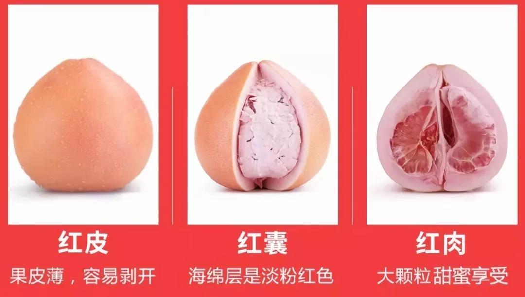 ��С�������ǻ۹��I(y��)���a(ch��n)���ƹ����ء����������t����������������ǰ�A��