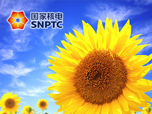 �Ї���늾W(w��ng)�W(w��ng)վ���O(sh��)