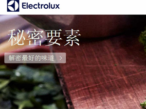 ���R��˹�W(w��ng)վ���O