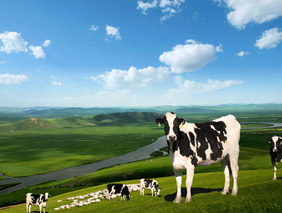 ��(ji��)�ܭh(hu��n)���Wվ���O����