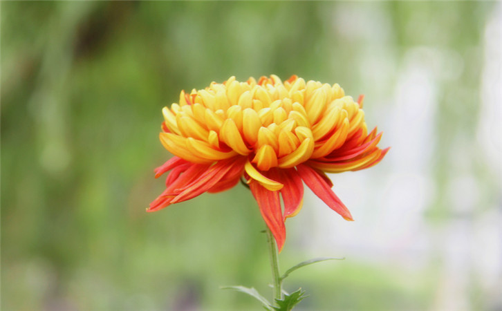 ���̽�����W(w��ng)վ�Ñ��w�����Щ����Ӱ�1