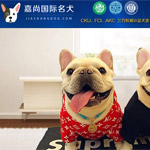 ���Ќ���W(w��ng)վ���O