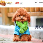 ������(y��u)�����¾W(w��ng)վ���O