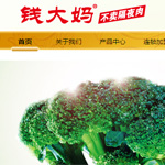 �V���X(qi��n)���r(n��ng)�a(ch��n)Ʒ���޹�˾�W(w��ng)վ���O(sh��)